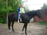 557238825.webp