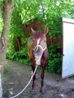 a41712106d05.webp