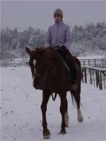 4a2aaffdd315уменьш.webp
