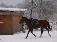 c8d20cc24c4bуменьш.webp