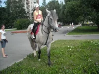 2.webp