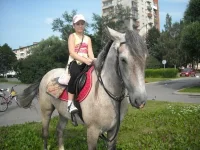 6.webp