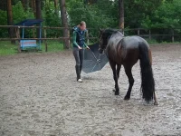 DSCF0261.webp