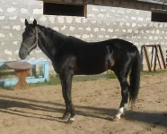 59778555.webp