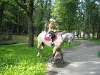 12.webp