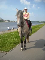 15.webp