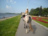 14.webp