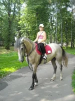 13.webp