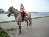 5.webp