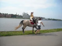 8.webp