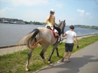 0.webp