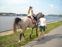 10.webp