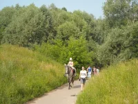 x_f2886d67.webp
