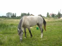 08eba47a76d7.webp
