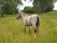 x_4a7816ee.webp