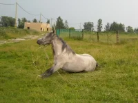 x_7c775cf2.webp