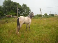 x_8cb77de5.webp