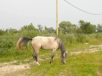 x_673893cc.webp