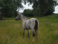 x_623c8a6d.webp