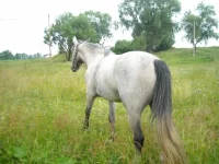 x_287e96c5.webp