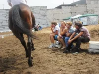 SAM_0277.webp