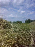 120720112955.webp