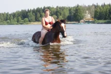 0006.webp