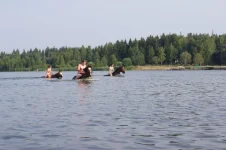 0008.webp