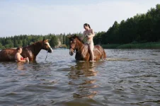0011.webp
