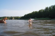 0014.webp