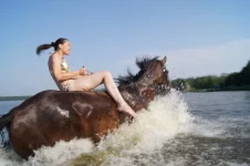 0012.webp