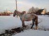 Lenovo_A1000_IMG_20170312_172638.jpg