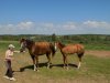 IMG-20170202-WA0006.jpg