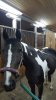 IMG-20161004-WA0006.jpg