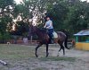 IMG_20150826_201423_4CS-1.jpg