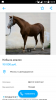 Screenshot_20170501-181943.png