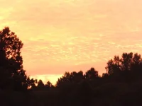 SAM_1631.webp