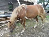 SAM_1643.webp