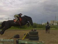 x_66d941b3.webp