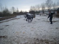 x_d97e7e64.webp