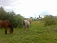 x_6d3dfd6a.webp