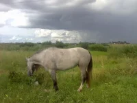 x_ce35d4f8.webp