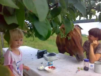 300720112987.webp