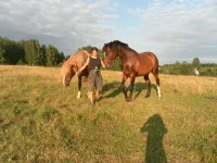 SAM_1720.webp