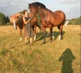 SAM_1722.webp
