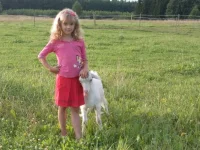 SAM_1710.webp