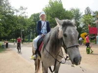 09.webp