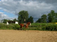 y_79fe006a.webp