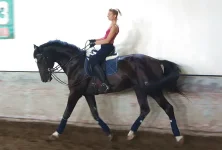 DSC05734.webp