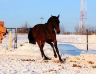 x_5fe54c85.webp